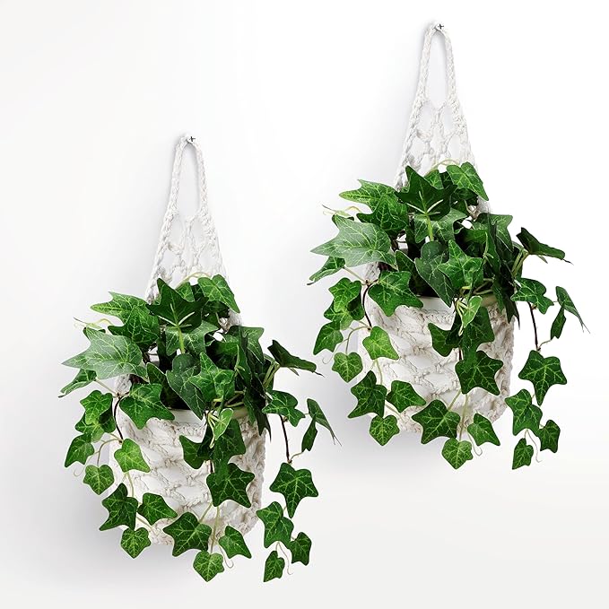 2 Packs Hanging Planters for Indoor Plants up to 6 in., Wall Plant Holder | by Shineloha