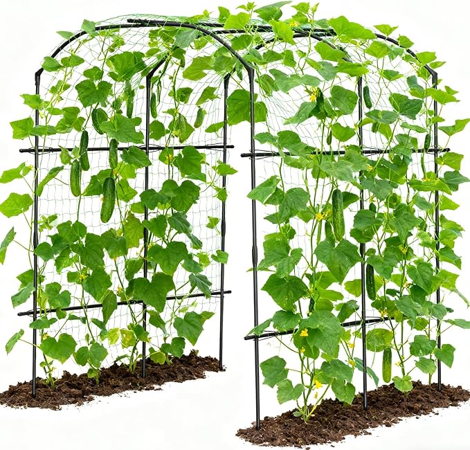 SUNYRISY Garden Arch Trellis for Climbing Plants Outdoor Gardening by SUNYRISY
