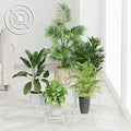 5 Pack Metal Plant Stand Indoor Outdoor Anti-Rust Iron Flower Pot Stand Holder by Unknown