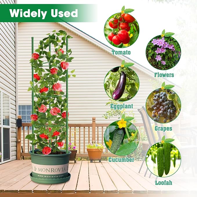 6 Pack Tomato Cages, 51.2in Tomato Plant Support Stakes Heavy-Duty, Garden - Image 7