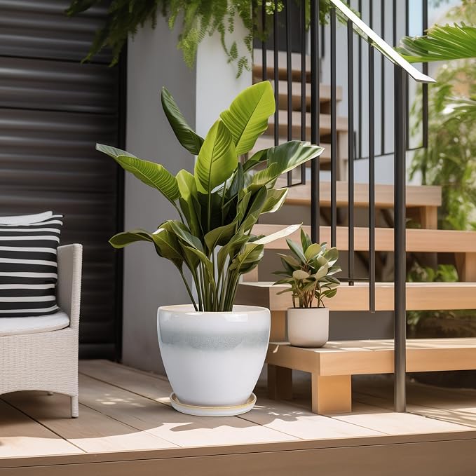Ceramic Planter - Image 5