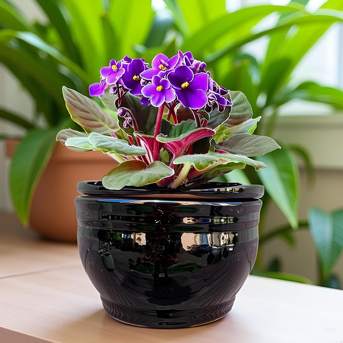 African Violet Pots Self Watering Round Ceramic Violet Pot - Image 2