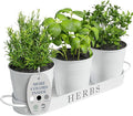 Barnyard Designs Indoor Herb Garden Planter Set by BarnyardDesigns
