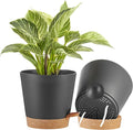 FaithLand 2-Pack 8 Inch Planter Pots by FaithLand