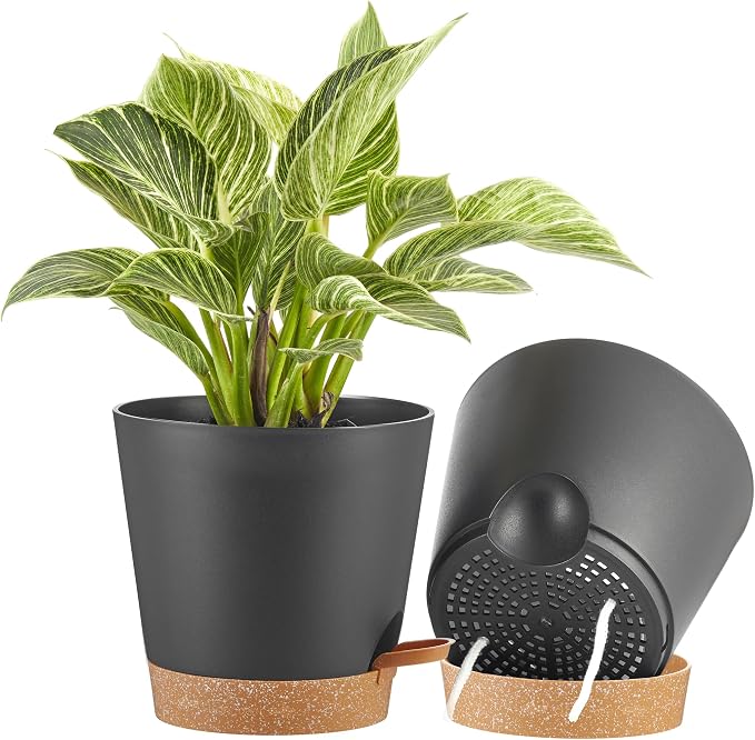 FaithLand 2-Pack 8 Inch Planter Pots by FaithLand