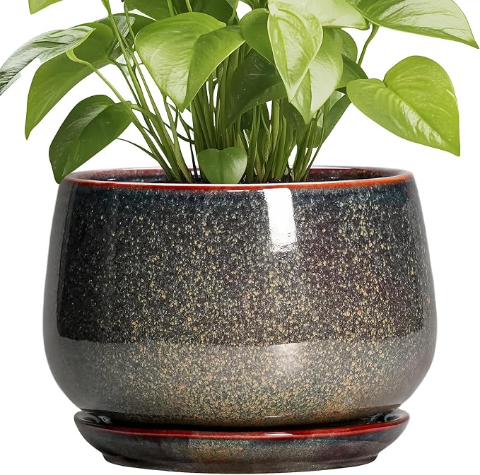 G EPGardening Ceramic Planters by GEPGardening