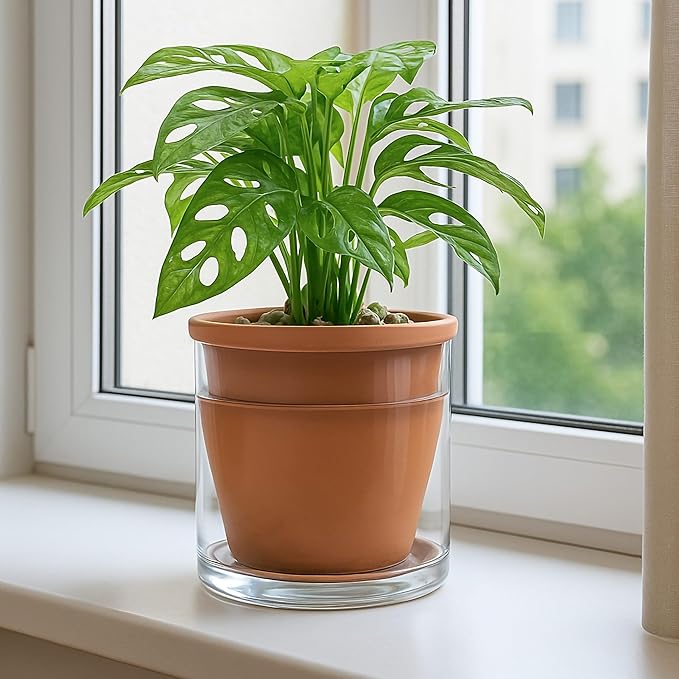D'vine Dev 6 Inch Design Self Watering Pot - Image 5