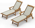 LUE BONA Chaise Lounge Chair Outdoor Set of 2, HDPS and HDPE Wicker Material by LUEBONA
