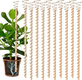 10pcs Electroculture Plant Stakes, Garden Stakes, Tensor Rings Kit, Copper Rods by Doksving