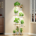 62" Plant Stand Indoor with Grow Lights by MJOMKN