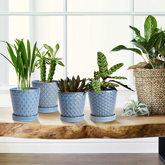 EFISPSS Plant Pots, 5 Inch Pots - Image 5