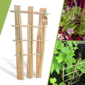 20 Pack 16" Bamboo Trellis for Climbing Plants-Natural Garden Ladder Fan by Biotolot