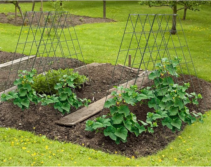 AGTEK 2 Packs 18" x 46" Foldable Cucumber Trellis - Image 7