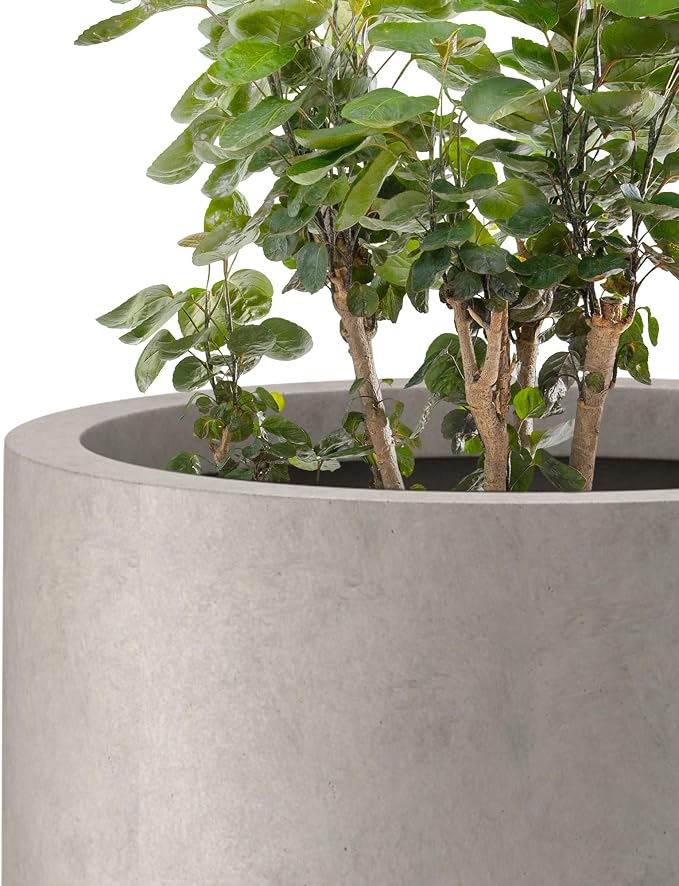 Kante 24 Inch Tall Round Concrete Planter, 2 Pack Large Indoor Outdoor Plant - Image 6