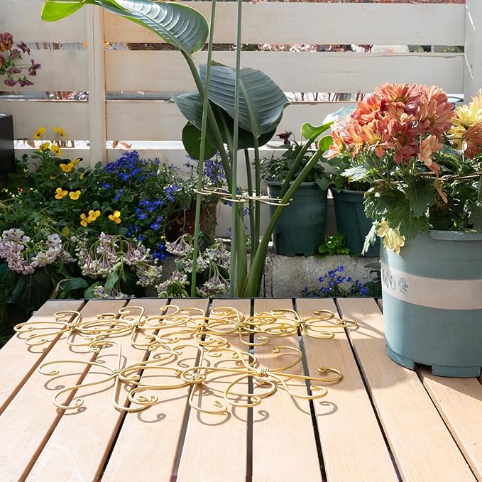 6.5IN Monstera Plant Support Hook 5PCS Durable Stem Stabilizer - Image 7