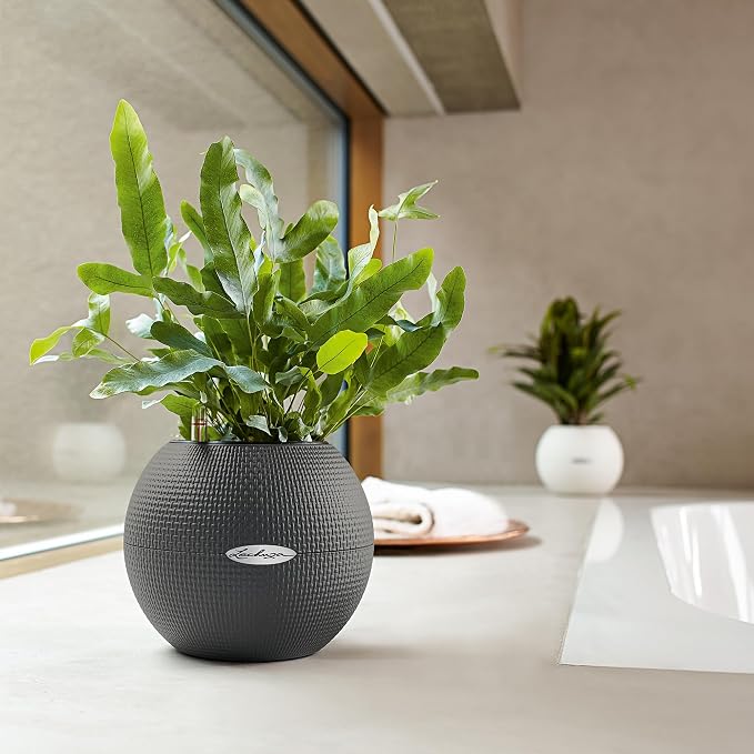Lechuza Puro Color 20 Slate, Self-Watering Small Indoor Planter, D7.9 H6.3 in - Image 7