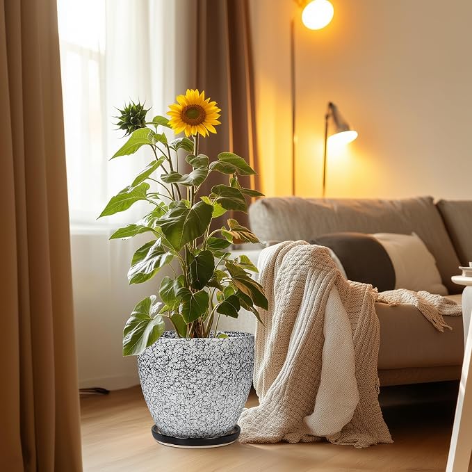10 Inch Plant Pot - Image 2
