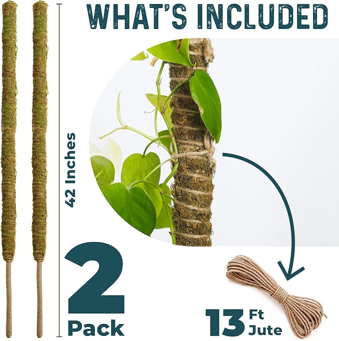 2 Pack 42'' Bendable Moss Pole Monstera Plant Support - Image 2