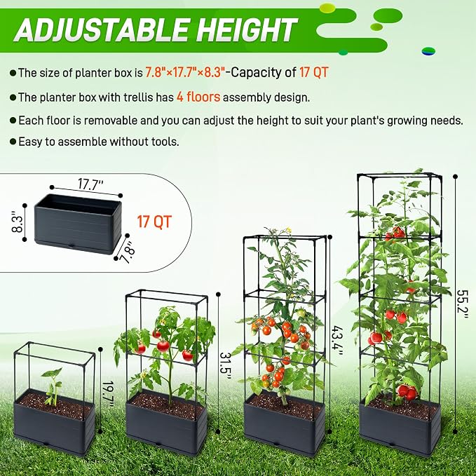 2 Packs Raised Garden Bed Tomato Planter Box - Image 3