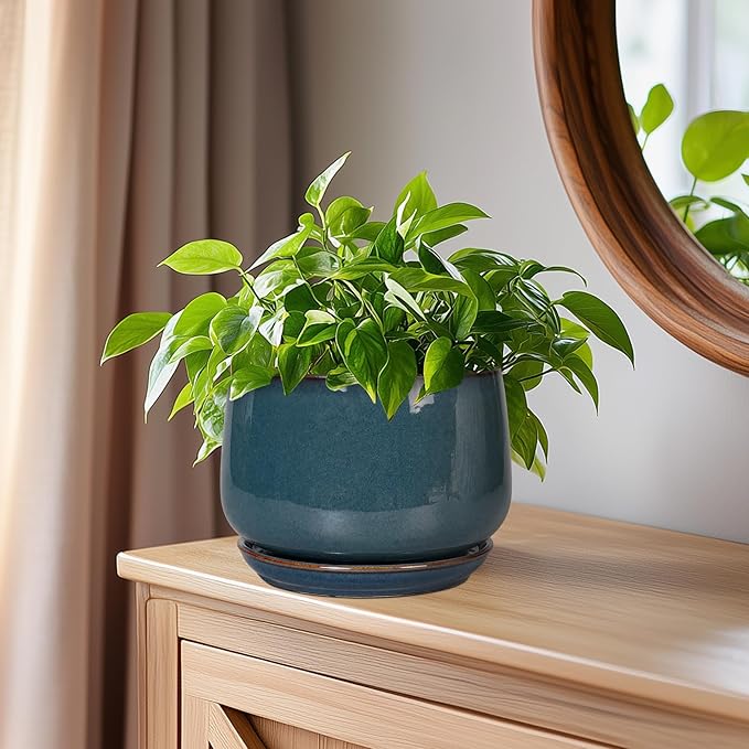 G EPGardening Ceramic Planter 6 Inch - Image 7