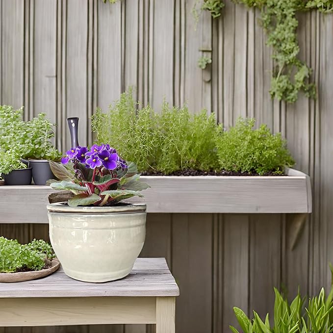 African Violet Pots Self Watering Round Ceramic Violet Pot - Image 5