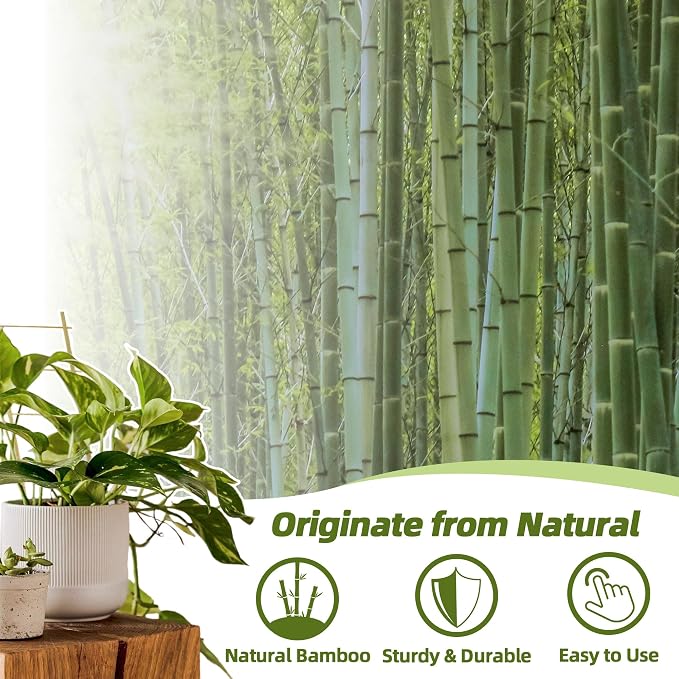 Avalution 20 Pack Bamboo Trellis - Image 3