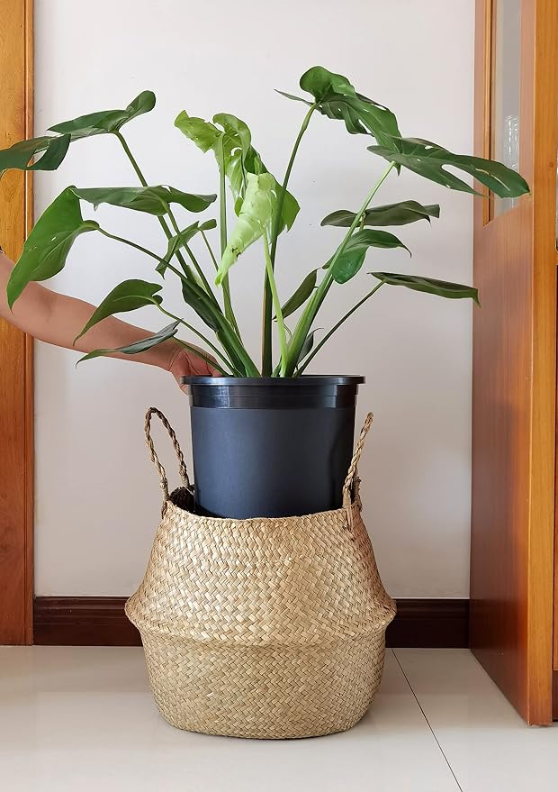 5 Gallon 20-Pack Nursery Pot Black Plastic Planters in Bulk - Image 5