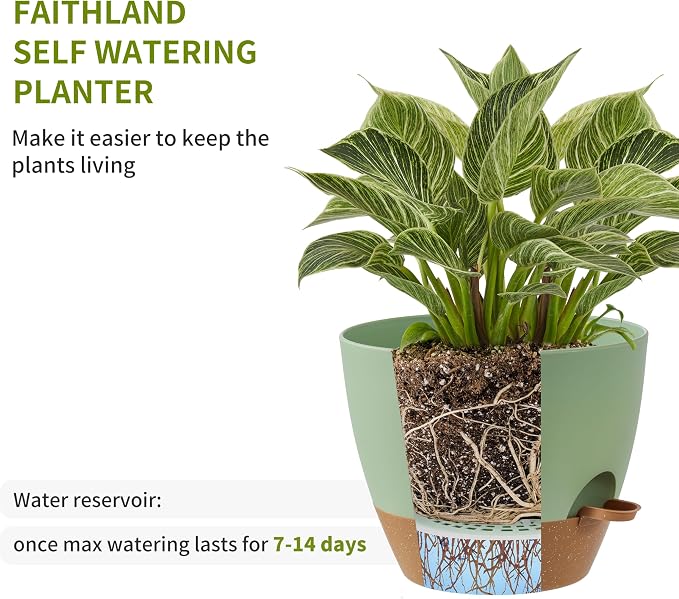 FaithLand 3-Pack Planter Pots, 10 9 8 Inch Self Watering Flower Pots - Image 4