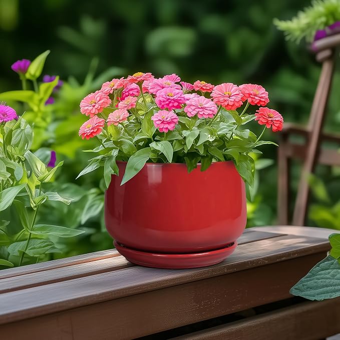G EPGardening Ceramic Pot for Plants - Image 4