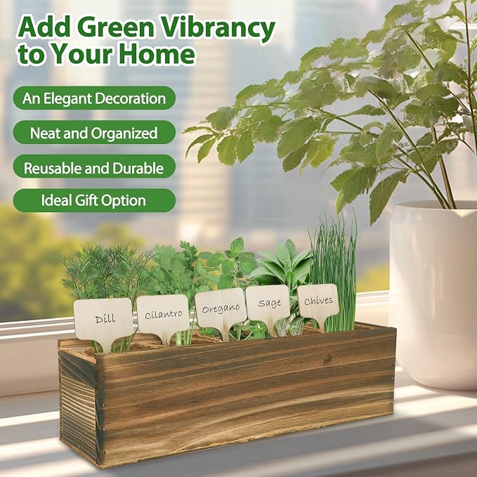 5 Herb Garden Planter Indoor - Image 4