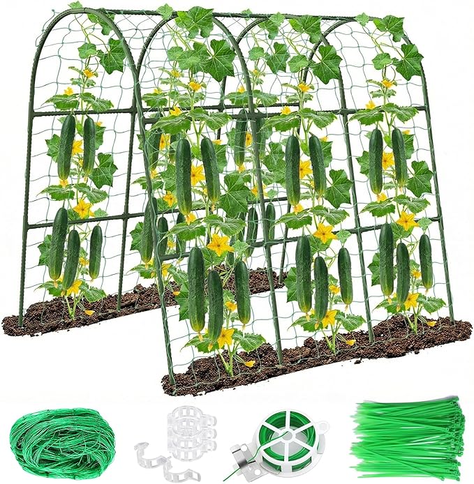 Cucumber Trellis for Raised Bed by Eunice