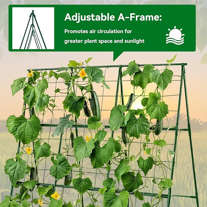 Cucumber Trellis - Image 5