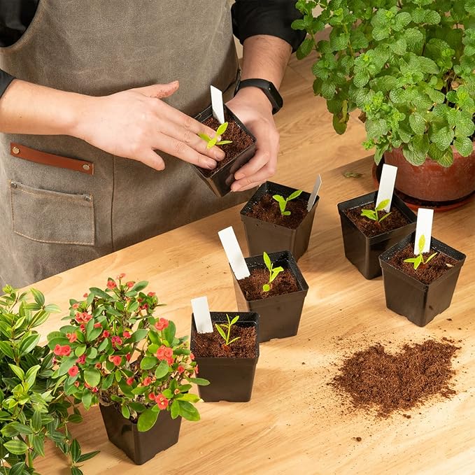 June Fox Square Nursery Pots 3.3 Inches Flexible Plastic Seedling Pots Square - Image 6
