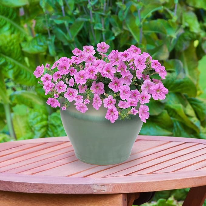 Sunnydaze Large Ceramic Plant Pot - Image 8