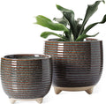 LE TAUCI Ceramic Plant Pots, 5.1 + 6.4 Inch Footed Pots by LETAUCI
