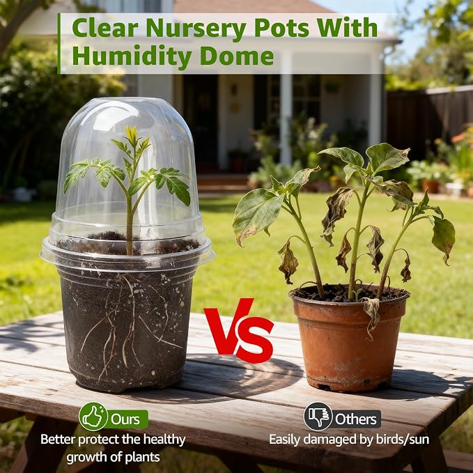 MIXC Clear Nursery Pots with Humidity Domes, 5/4/3.5 Inch Reinforced - Image 5