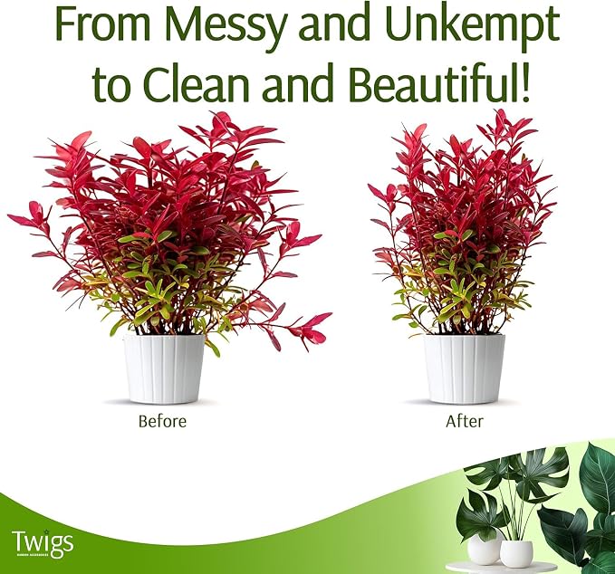 Mini Twigs Plant Support Stakes - Image 7