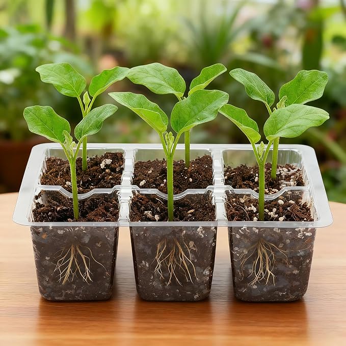 Bonviee 10 Packs Seed Starter Tray - Image 7