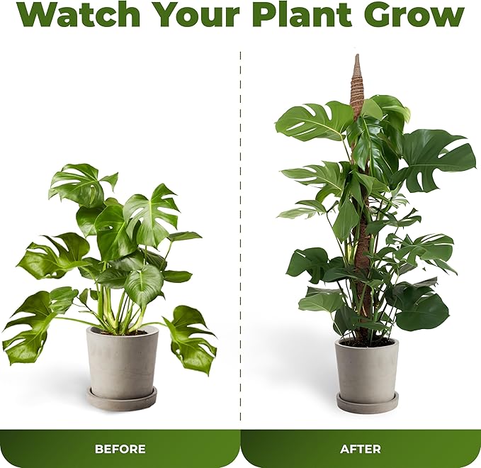2 Pack 28 Inch Bendable Moss Pole Monstera Plant Support Stakes - Image 5