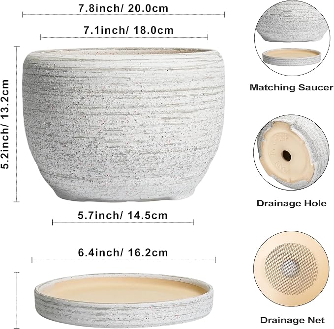 SQOWL Ceramic Plant Pots - Image 3