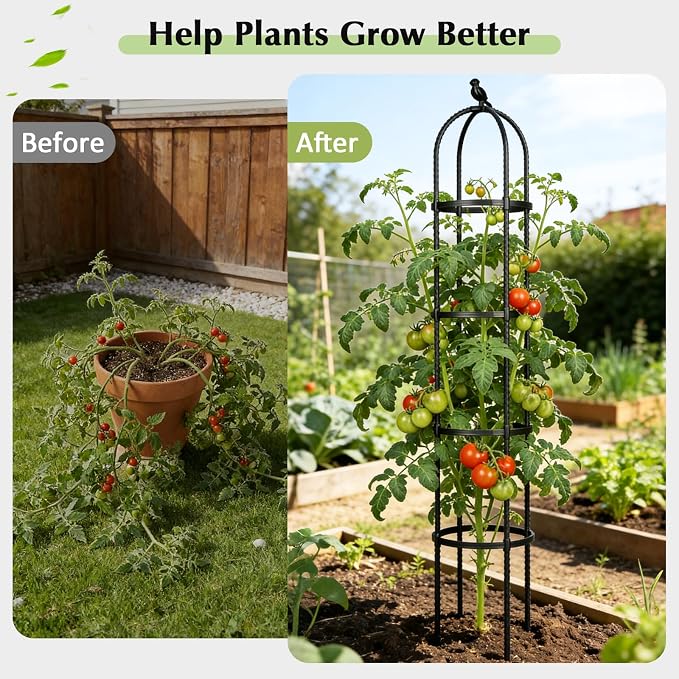 Obelisk Trellis for Climbing Plants Outdoor, 6.2 FT Plant Support for Tomato - Image 6