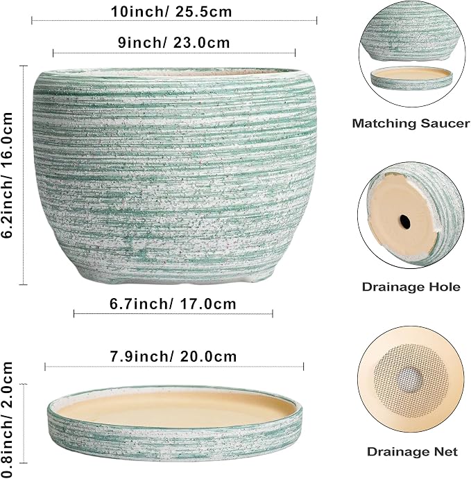 SQOWL Ceramic Pots for Plants - Image 3