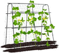 Garden Trellis for Climbing Plants Outdoor, 5.3x5.3ft Garden Trellis Climbing by OTOSUNNY