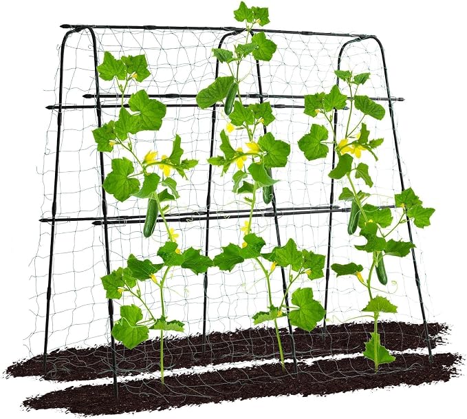 Garden Trellis for Climbing Plants Outdoor, 5.3x5.3ft Garden Trellis Climbing by OTOSUNNY