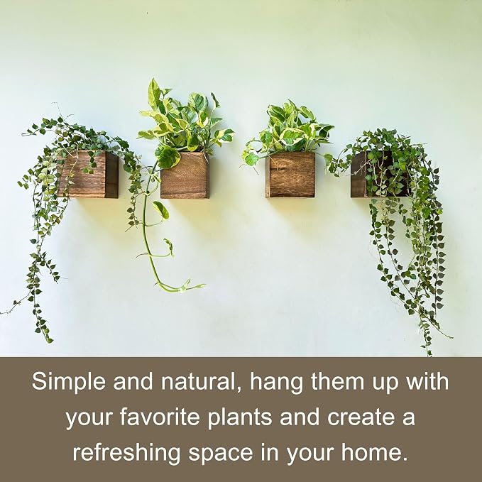 LaLaGreen Wood Planter Boxes for Indoor Plants Small Square Wall Mounted - Image 9