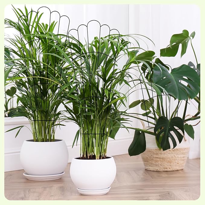 LEIFIDE 2 Pcs 33in Plant Trellis - Image 2