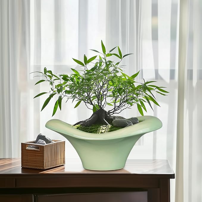 Ceramic Bonsai Pots - Image 2