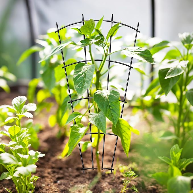 4 Pack 32'' Indoor Plant Trellis - Image 6