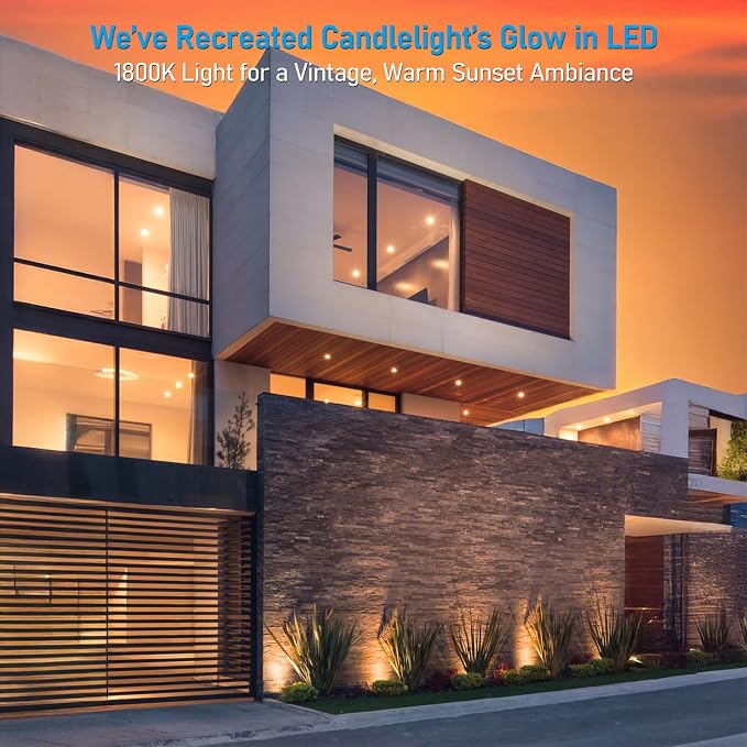 LEONLITE Dia. 4 Inch Well Lights Landscape LED In Ground, Grated Top, 5 Color - Image 2