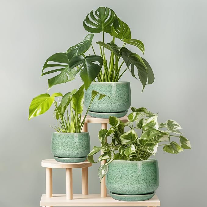 G EPGardening Ceramic Pots for Plants - Image 8
